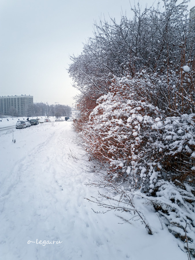 Фото 2021-11-12_002