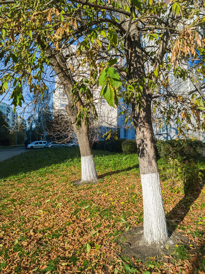 2025-10-12_003