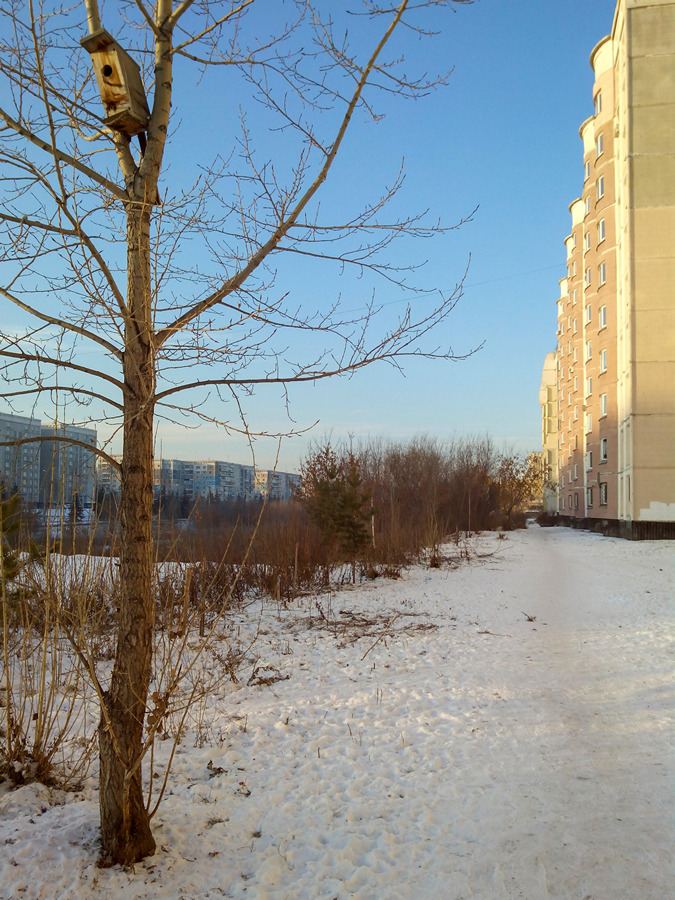 2020-12-02_004