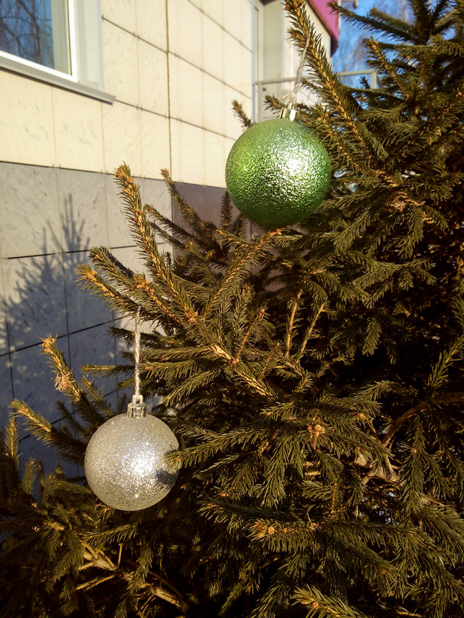 2020-12-07_003