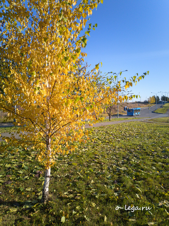 2021-10-10_001