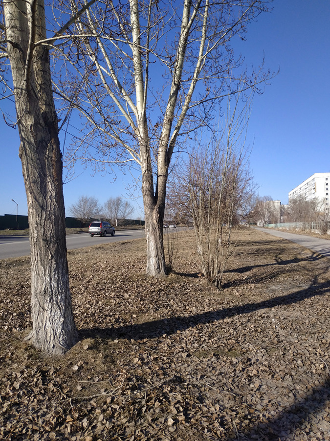 2022-04-14_004