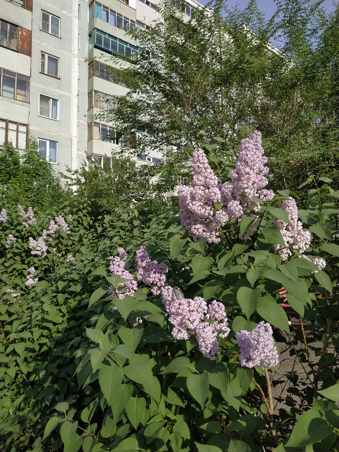2022-05-27_008