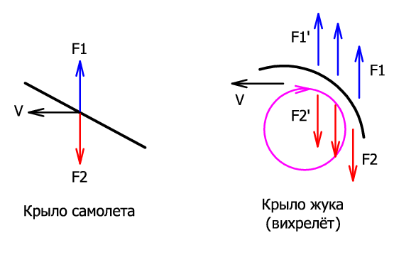 Крыло и вихрелёт