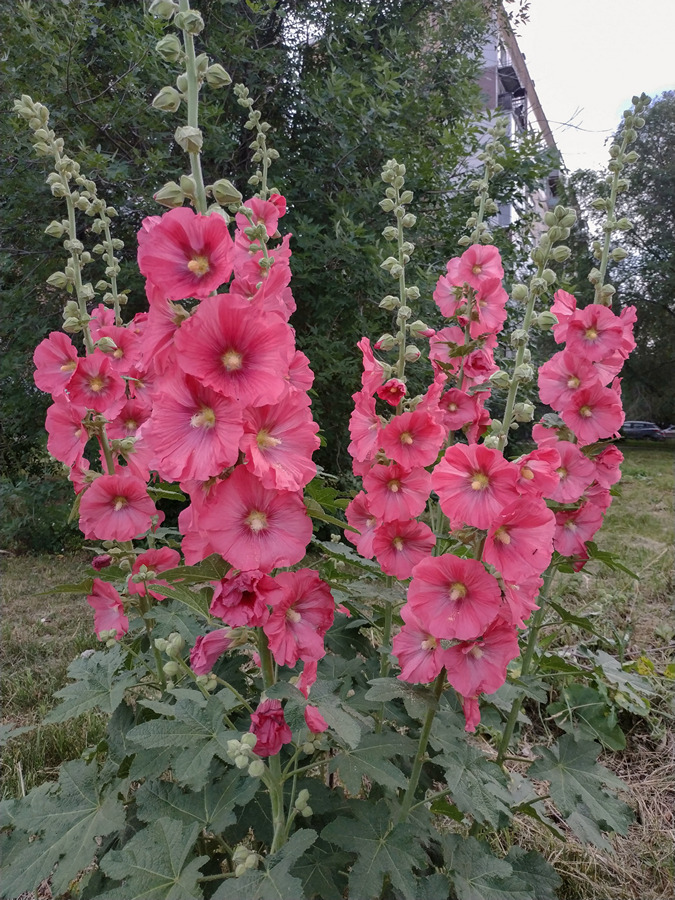 2022-07-05_001