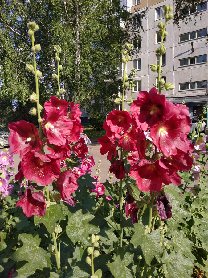2022-07-08_006