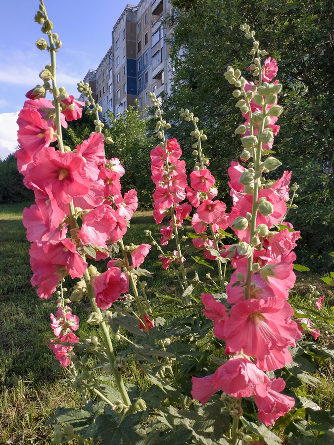 2022-07-08_007