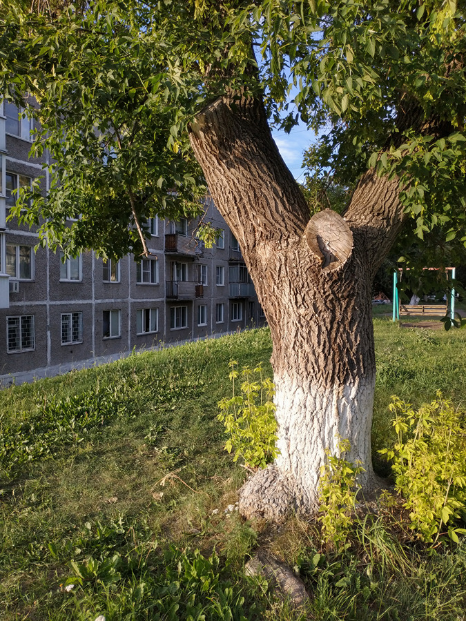 2022-07-13_002