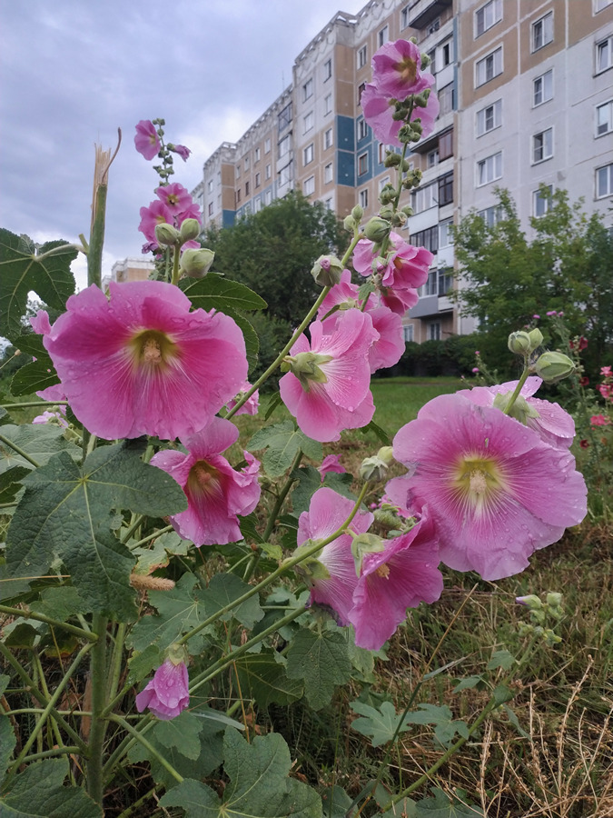 2022-07-19_003