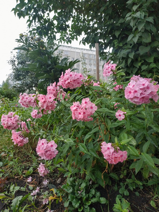 2022-07-21_011