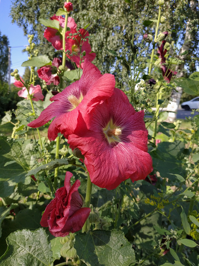 2022-07-28_005
