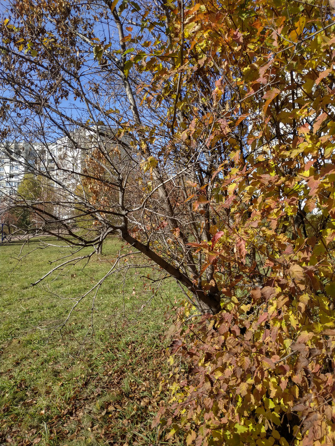 2022-10-08_005