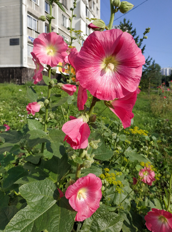 18-07-2023_002