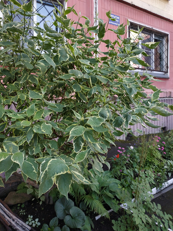 2023-07-14_004