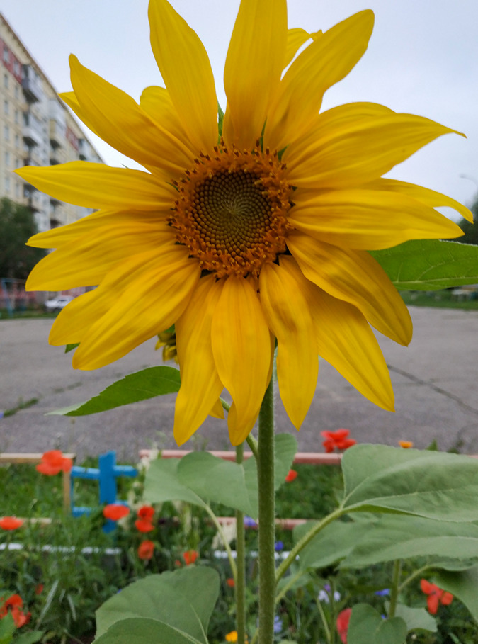 2023-07-23_002