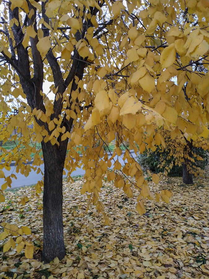 2023-10-12_002