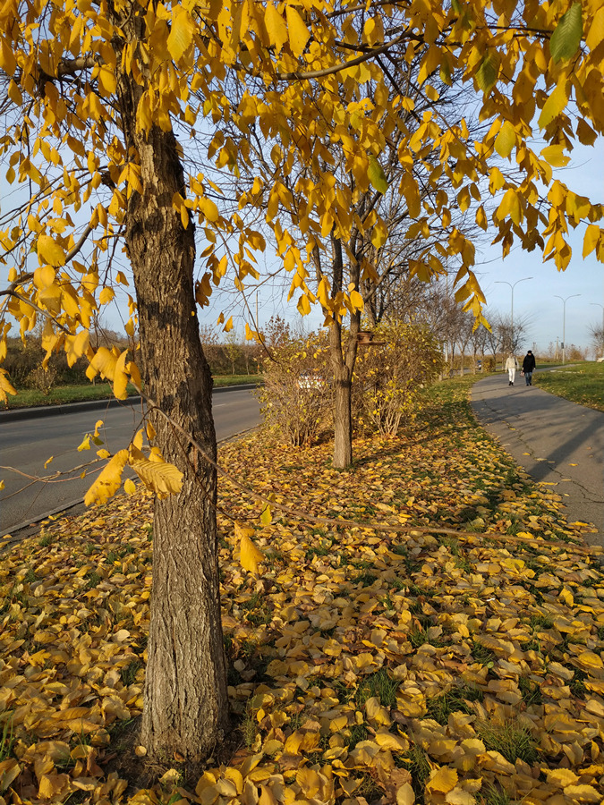 2023-10-14_001