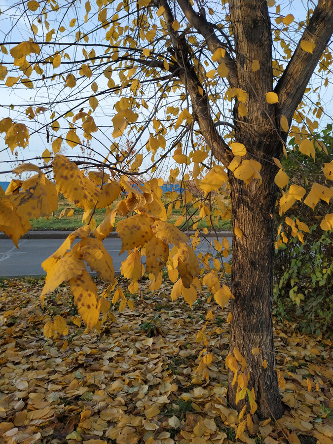 2023-10-14_003