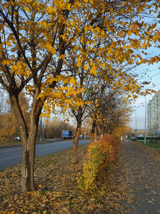 2023-10-14_005
