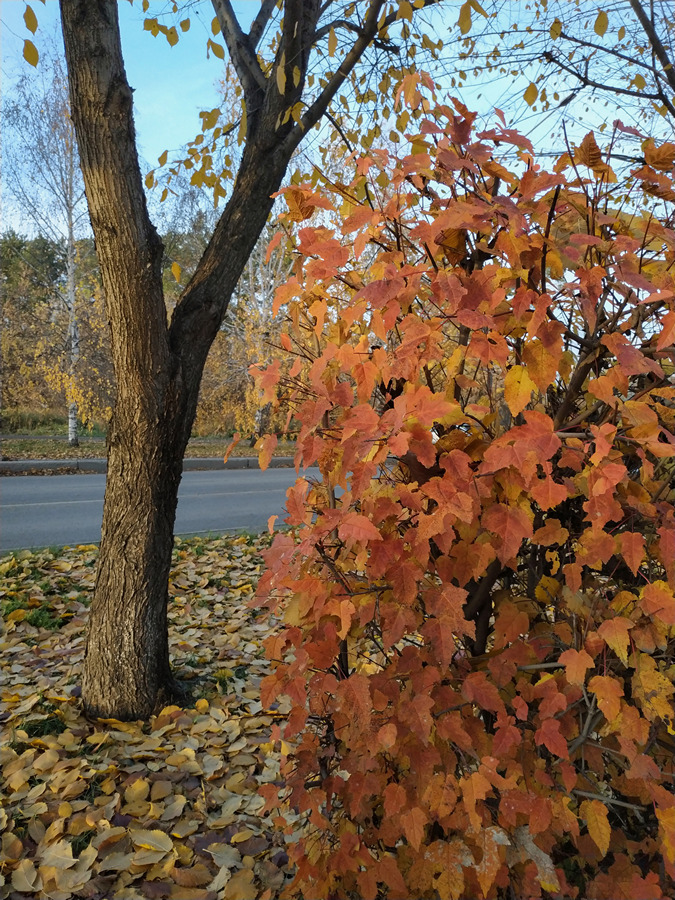 2023-10-14_006