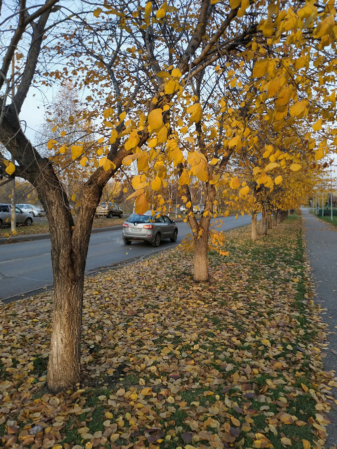 2023-10-14_007