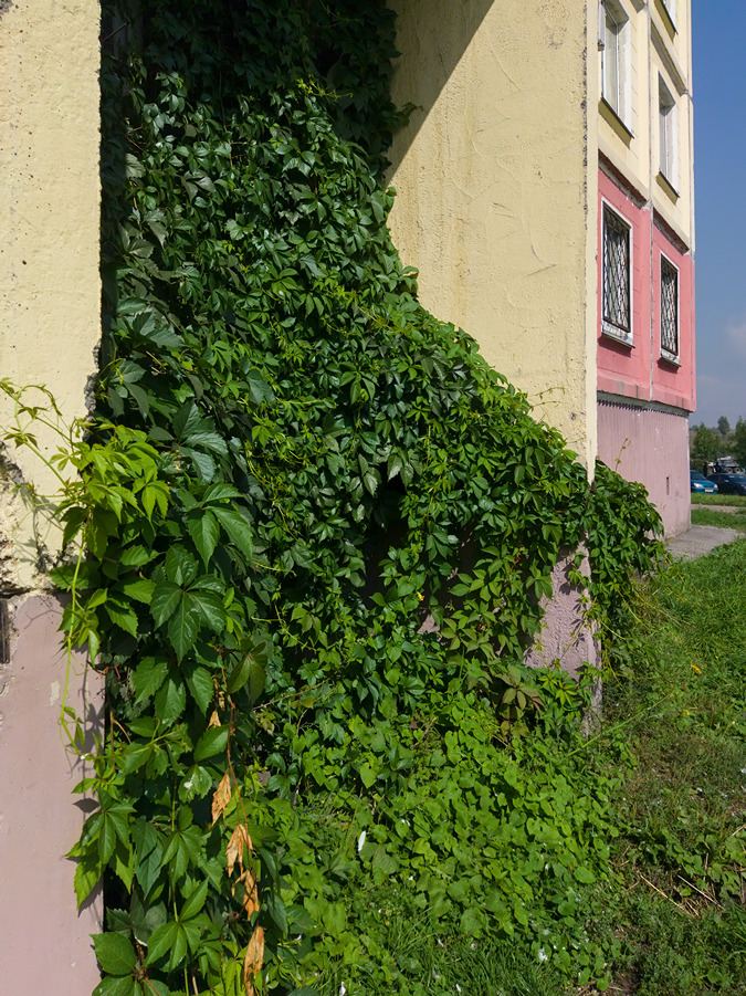 2024-08-29_003