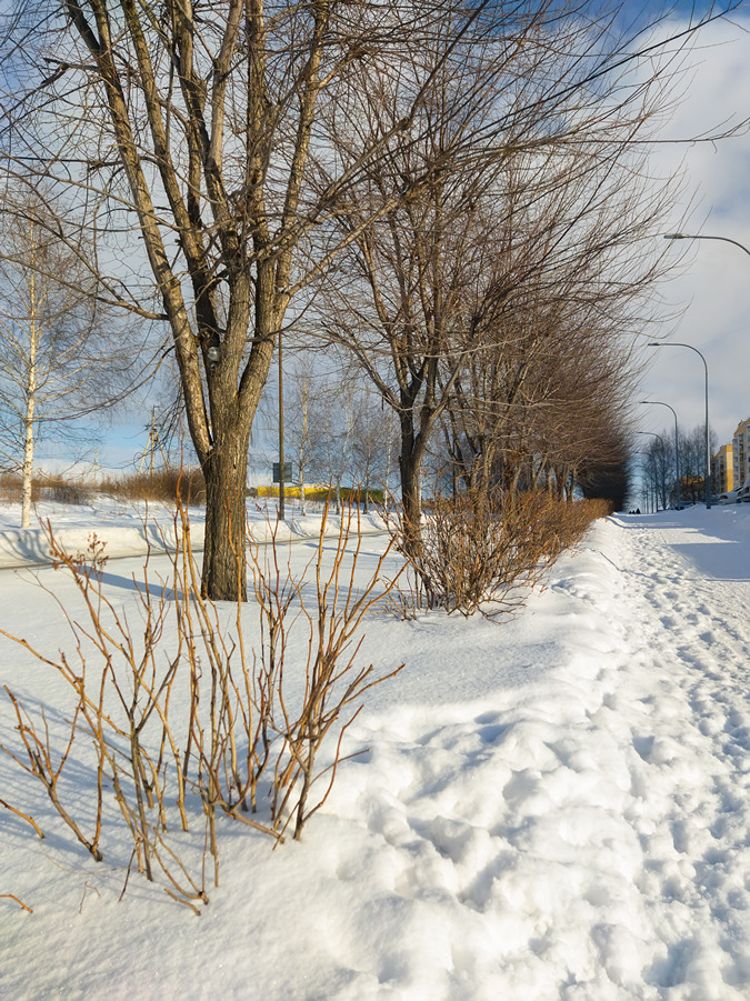 2025-01-12_004