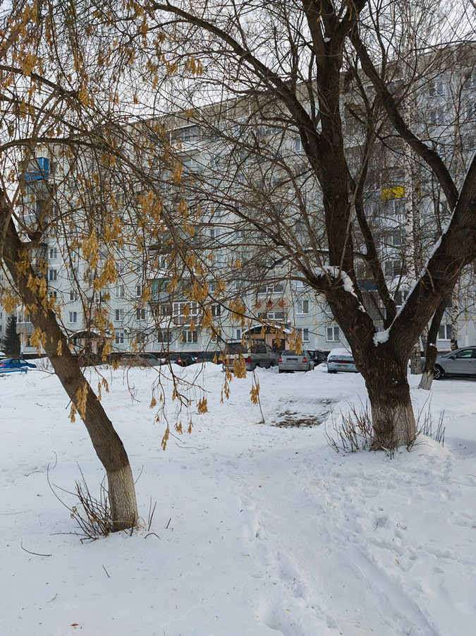 2025-02-16_002