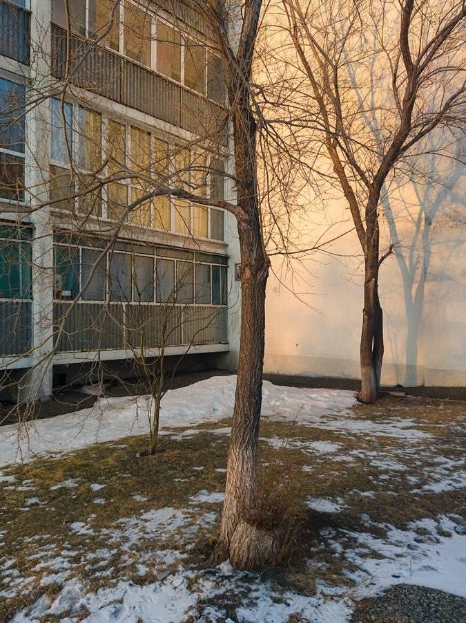 2025-02-26_002