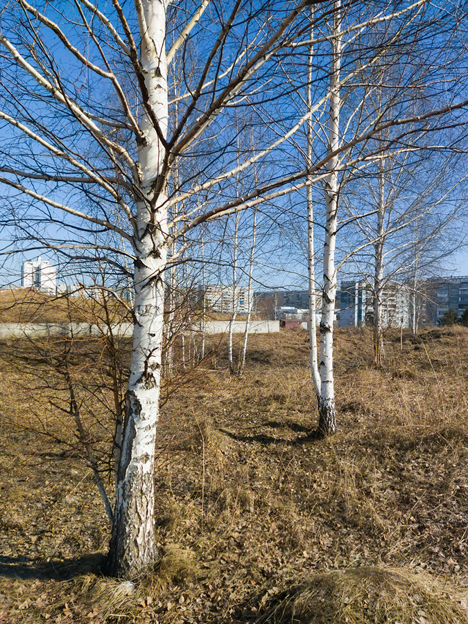 2025-04-01_002