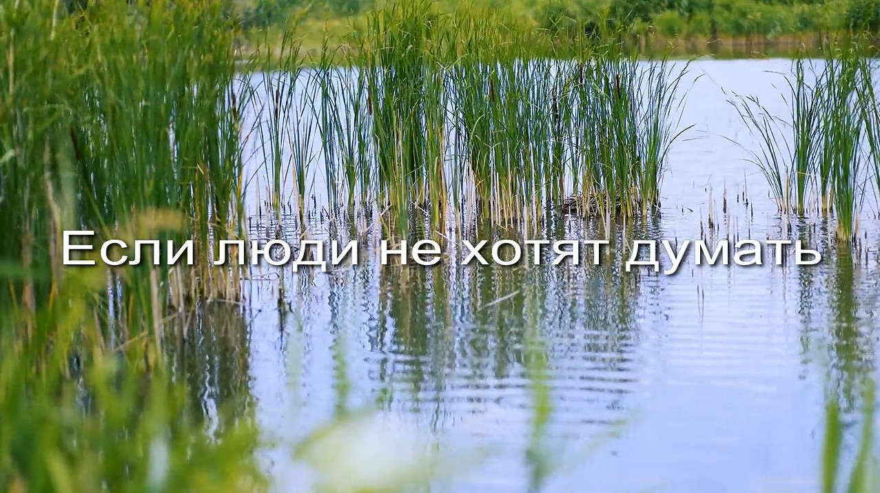 Если люди не хотят думать заставка