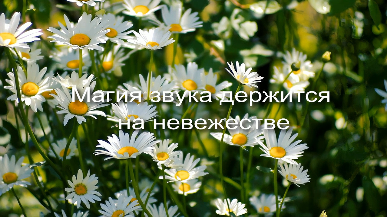 Магия звука держится на невежестве