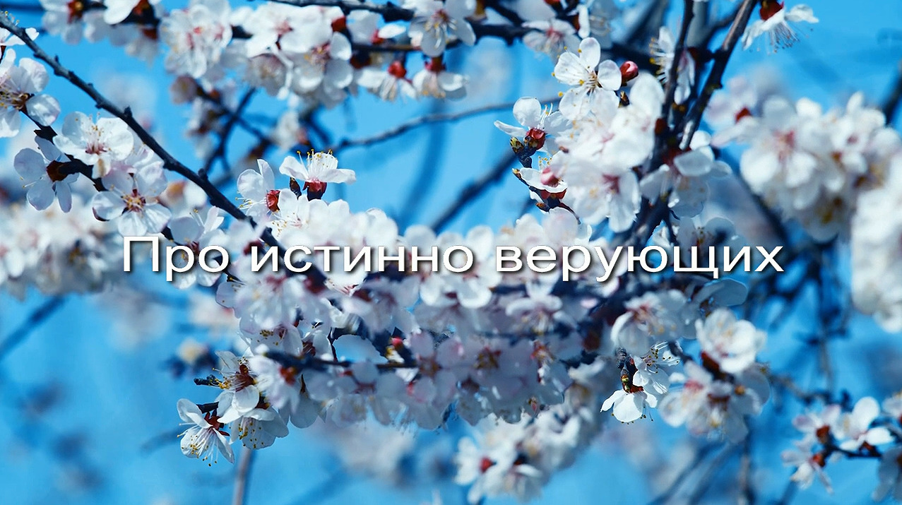 Про истиннно верующих заставка