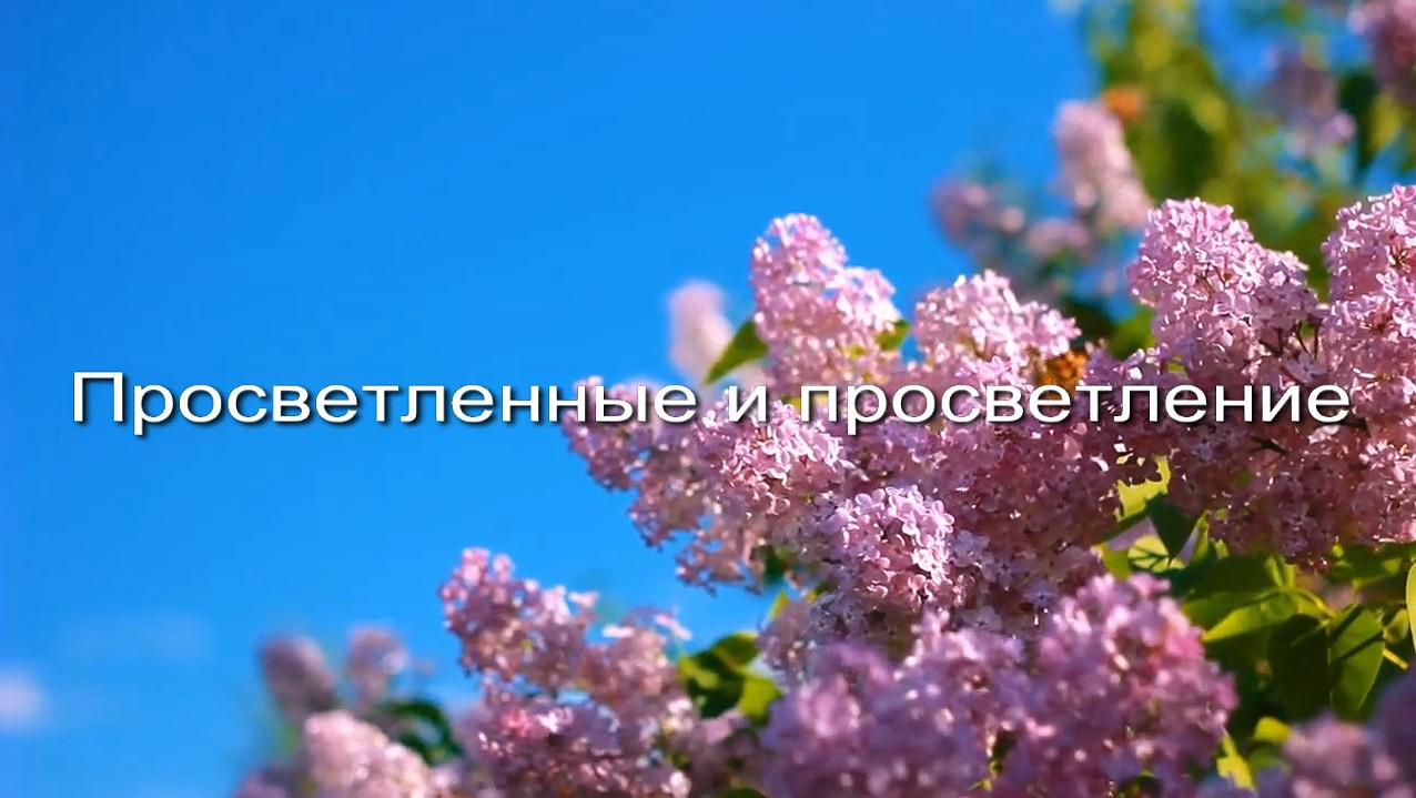 Просветленные и просветление заставка