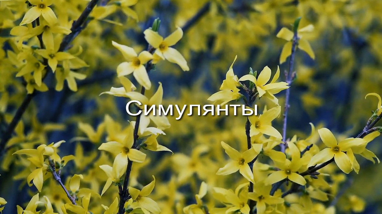Симулянты заставка