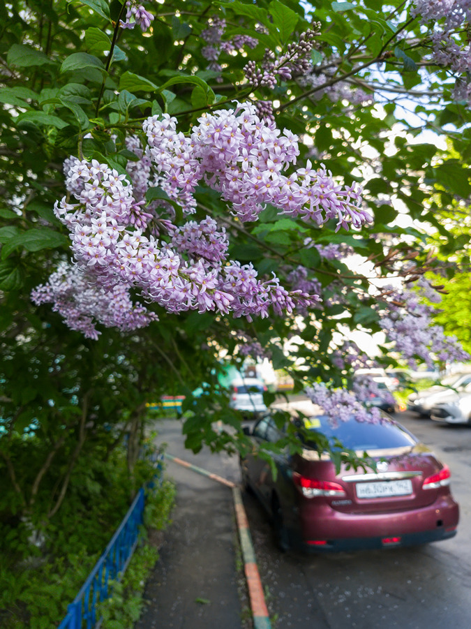 2025-06-07_004
