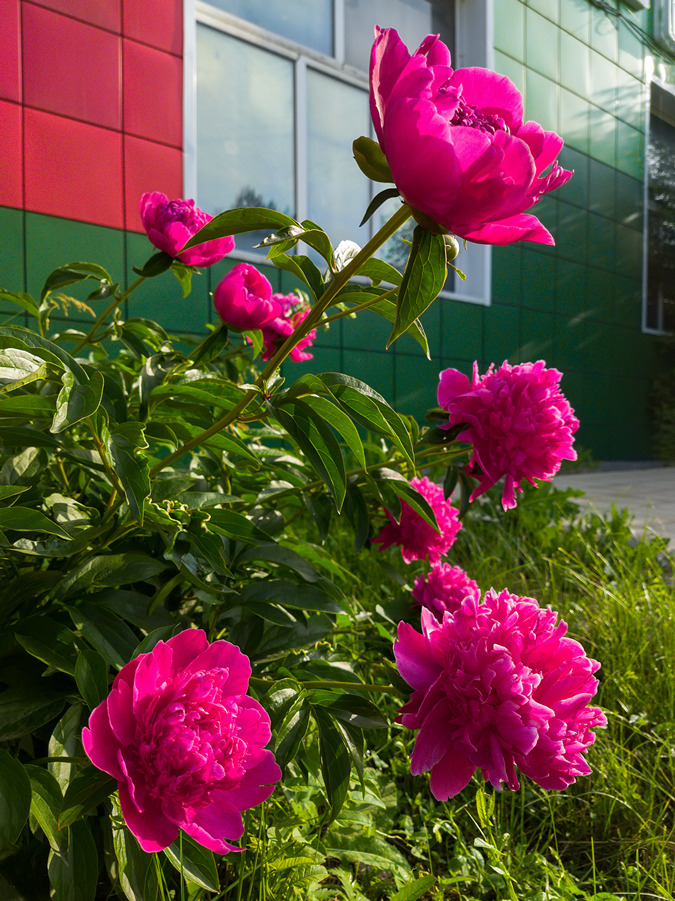 2025-06-14_001
