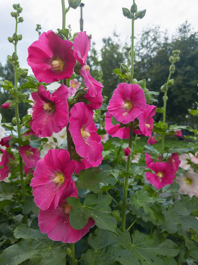 2025-07-02_003