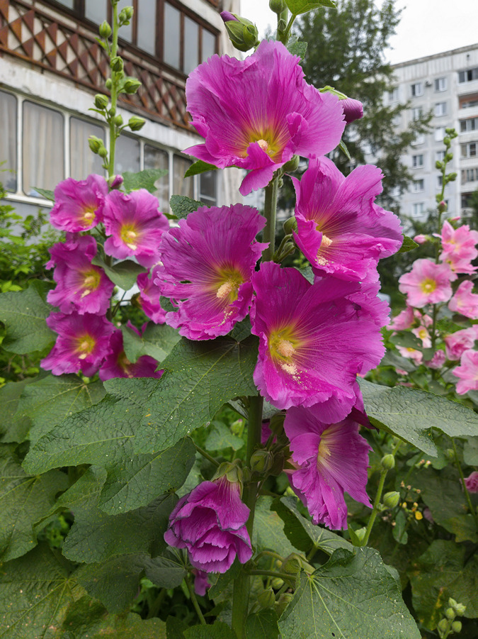2025-07-09_002