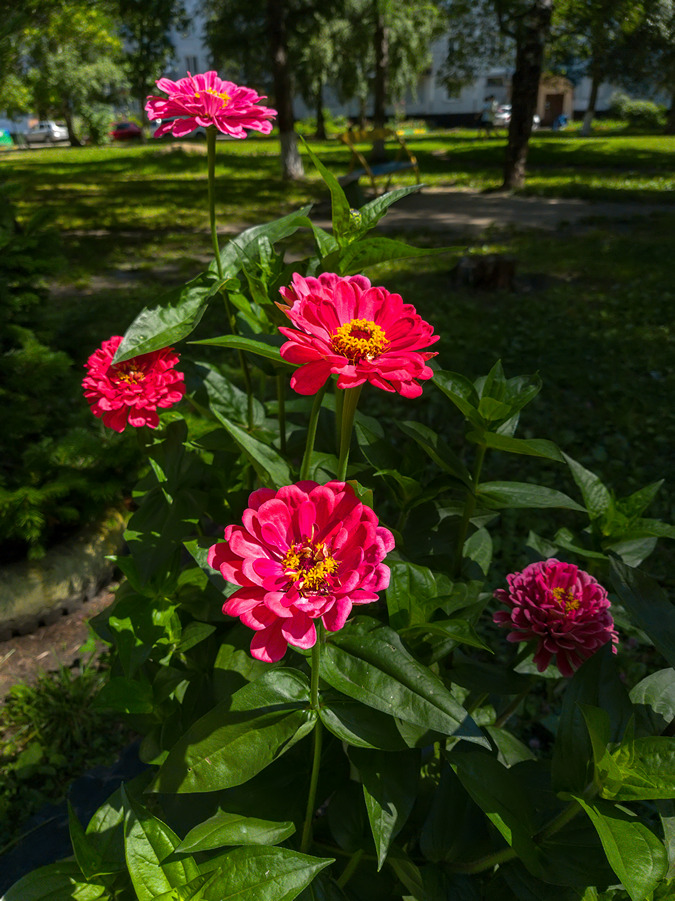 2025-07-24_002