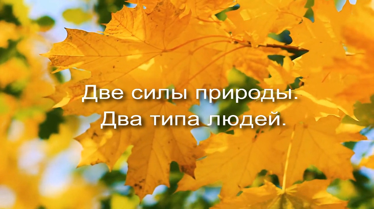 Две силы природы_Два типа людей заставка
