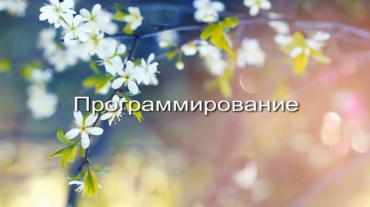 Программирование заставка