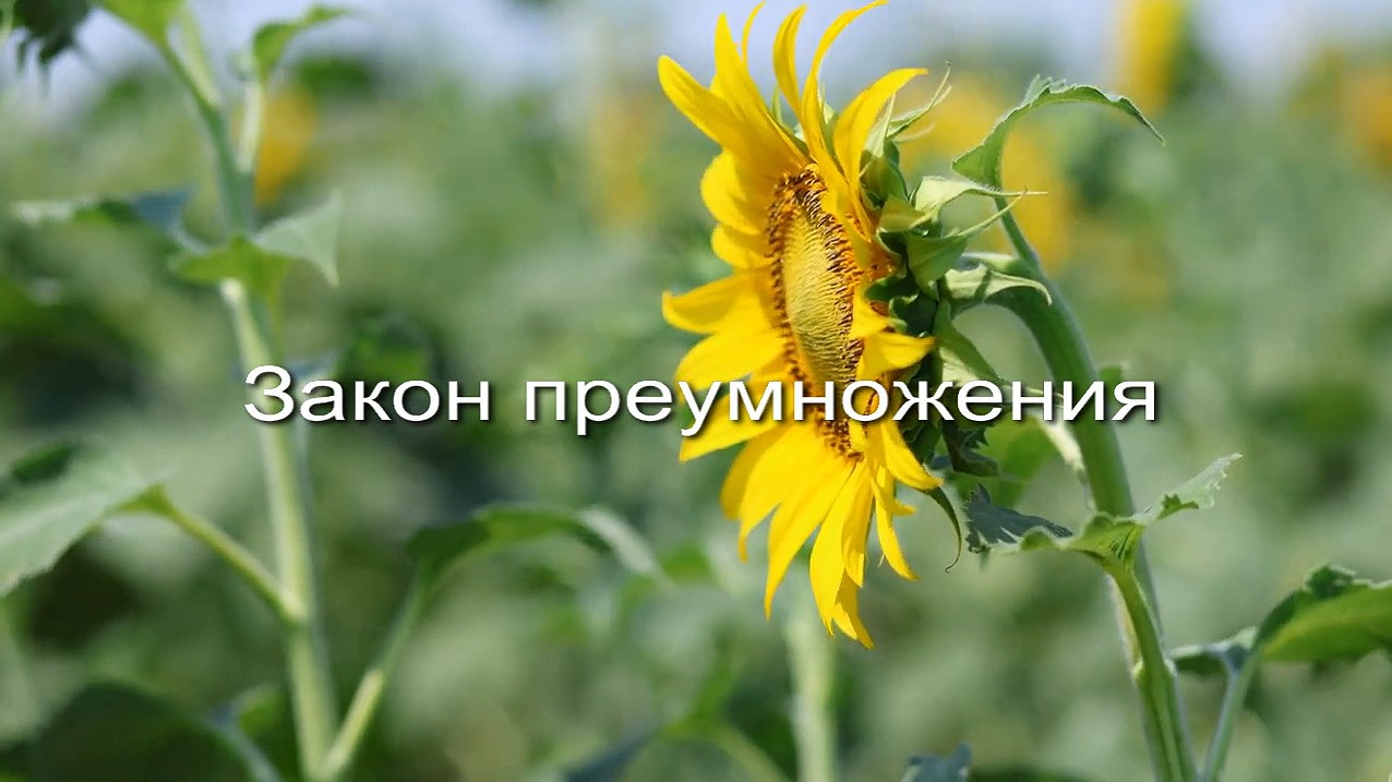 Закон преумножения заставка