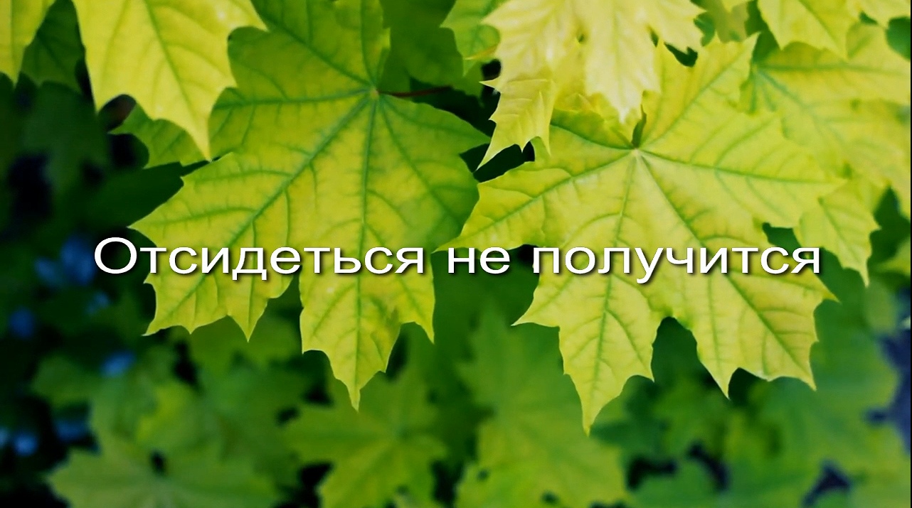 Отсидеться не получится заставка