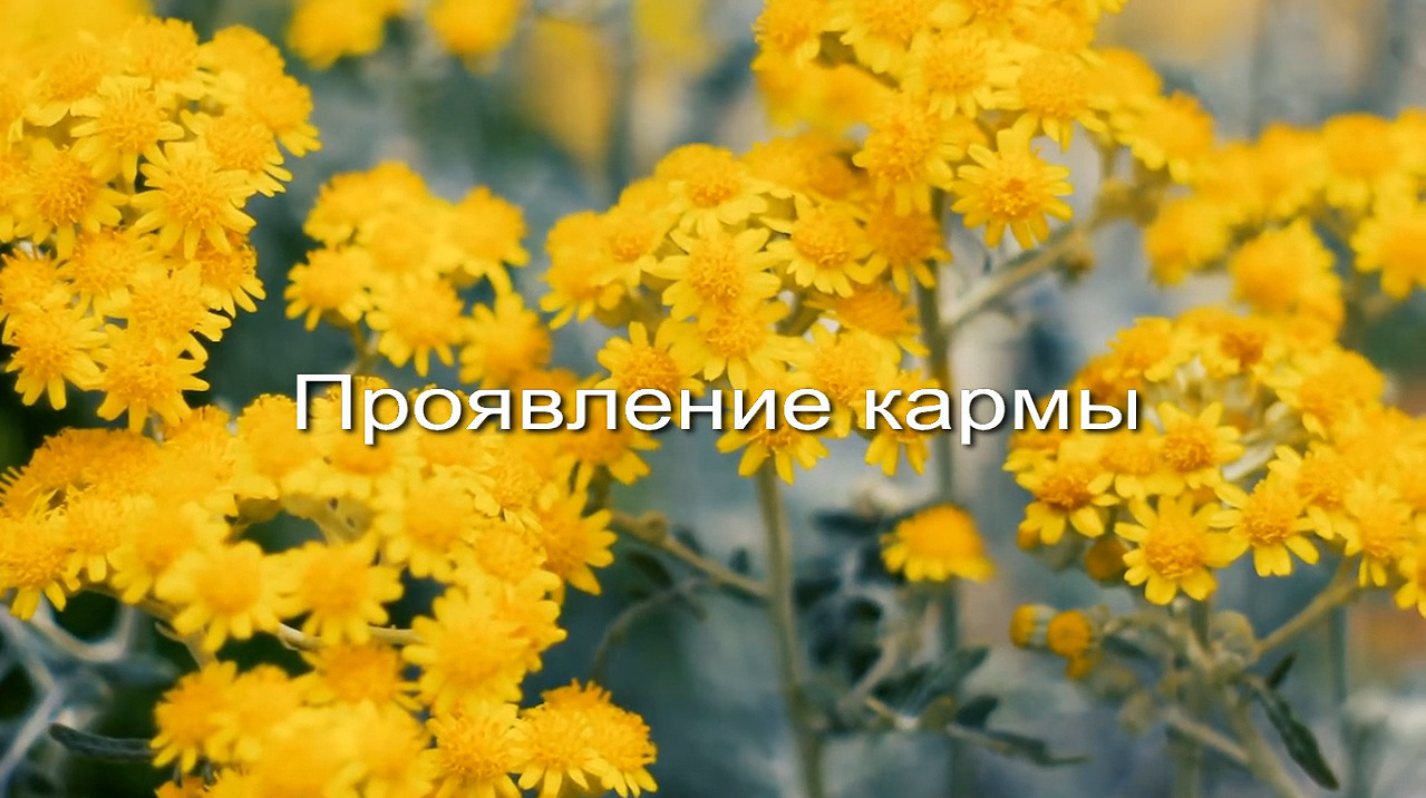 Проявление кармы заставка