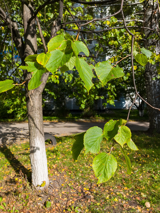 2025-09-12_002
