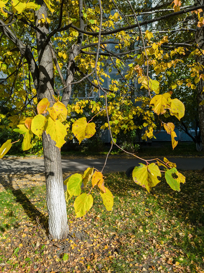 2025-09-20_001