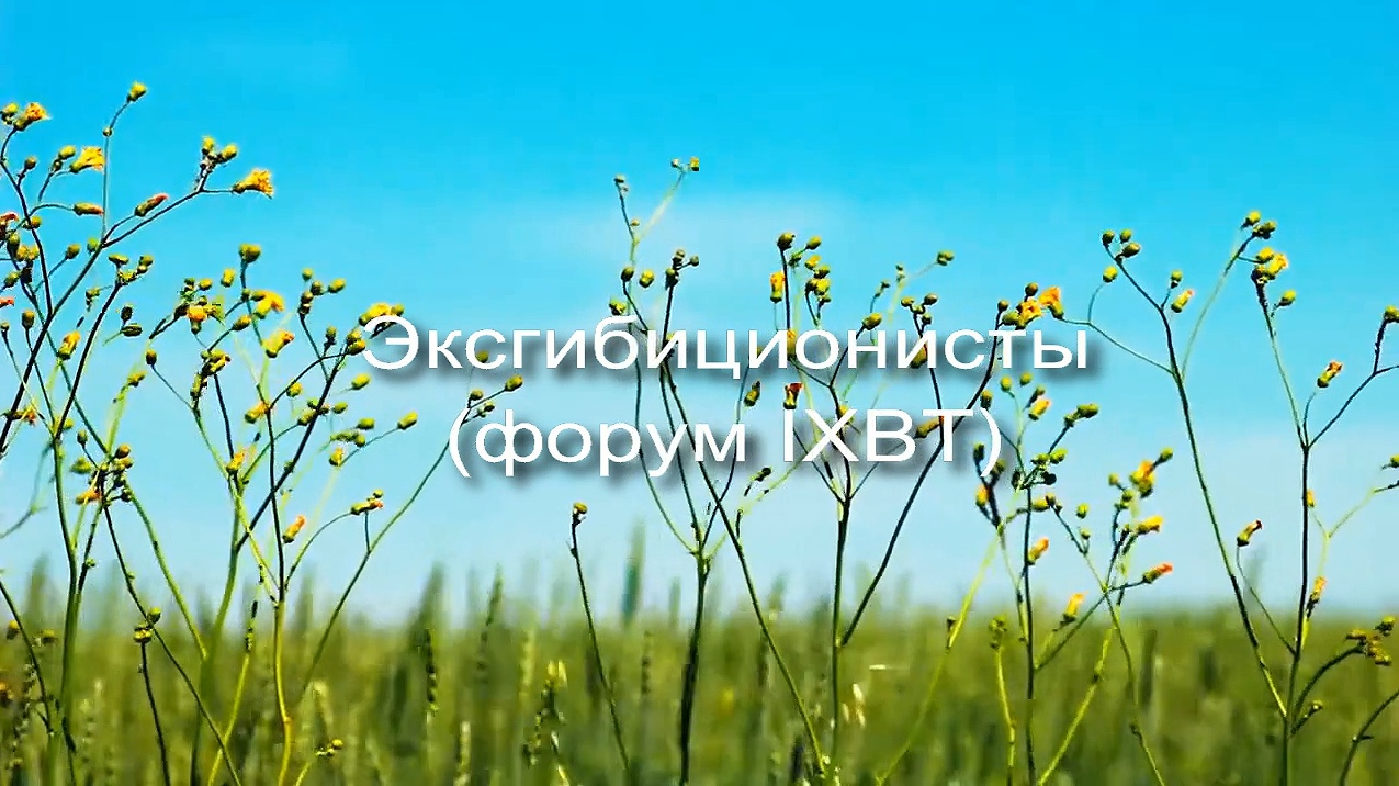 Эксгибиционисты (форум IXBT) заставка