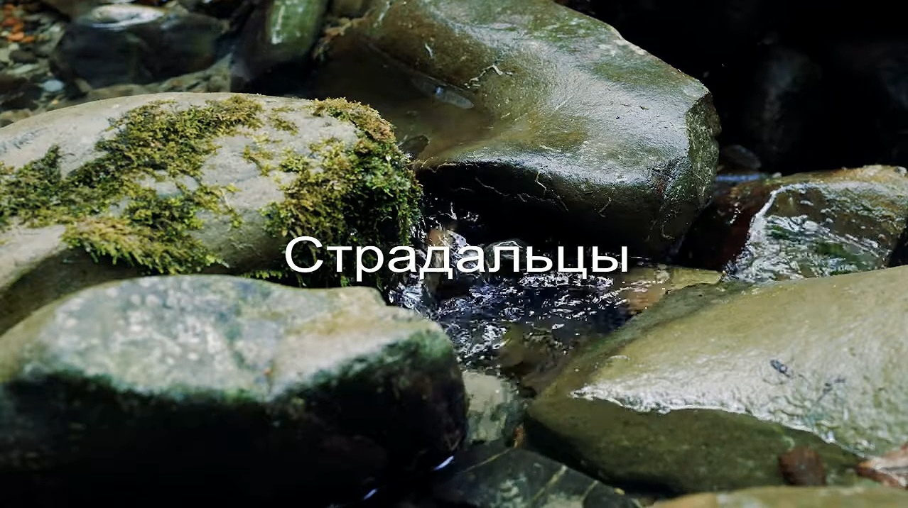 Страдальцы заставка