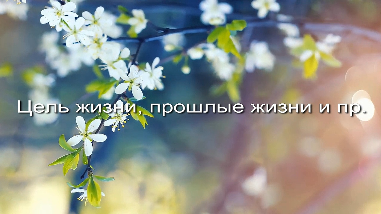 Цель жизни, прошлые жизни и пр заставка